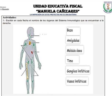 Ayuda Por Favor Es Para Horita Se Lo Juro El Que Me De La Respuesta Le