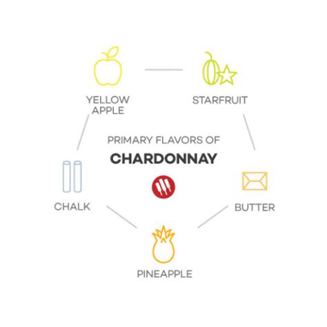 Comparing Chardonnay and Sauvignon Blanc | Wine Folly