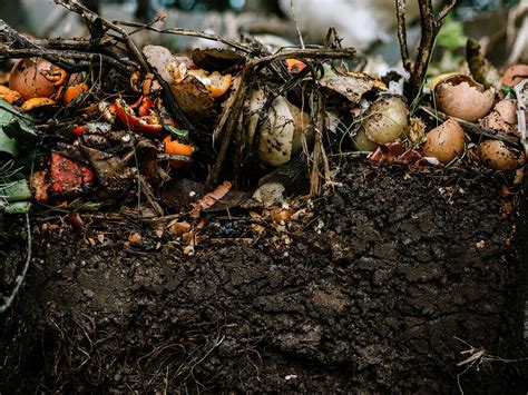 A Guide To Composting Turn Food Waste Into Garden Gold