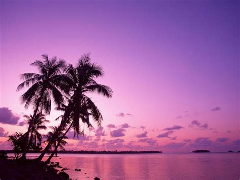 🔥 [30+] Purple Beach Wallpapers | WallpaperSafari