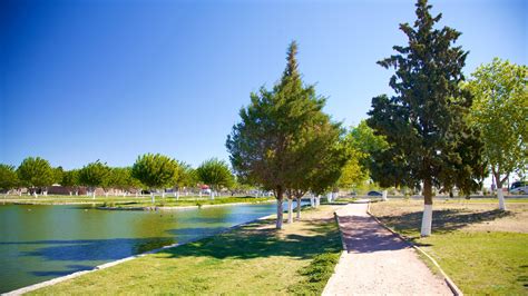 Los Parques Centrales Permiten Perros