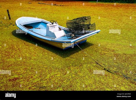 Louisiana Bayou People Hi Res Stock Photography And Images Alamy