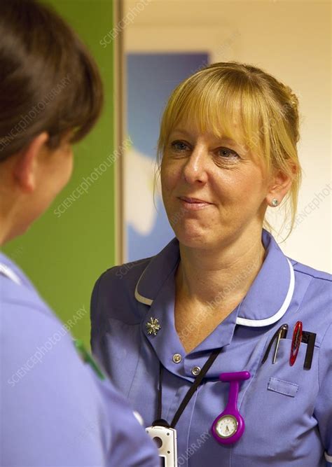 Hospital nurses - Stock Image - C015/6987 - Science Photo Library