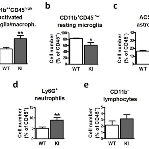 Inactivation Of Gsk3β By Ser 389 Phosphorylation Affects Brain Cell