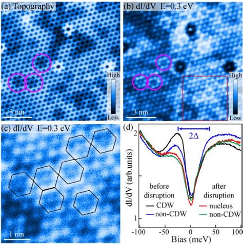 Figure 3 From Charge Density Wave With Strong Quantum Phase