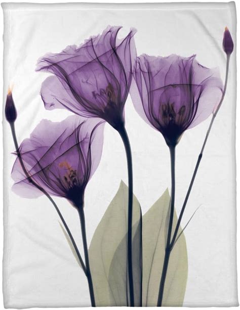 Amazon Laural Home Gentian Hope Fleece Blanket Purple White