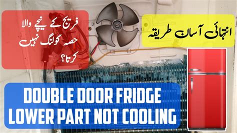 Double Door Fridge Not Cooling Lower Part How To Repair Double Door