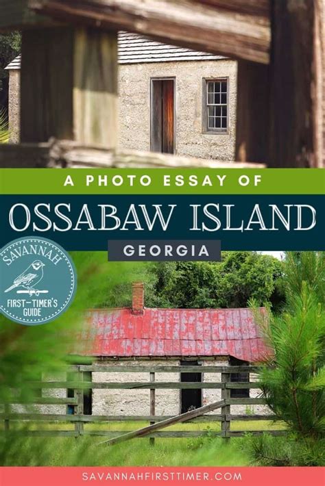 Ossabaw Island, Georgia: A Photo Essay - Savannah First-Timer's Guide