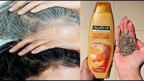 Alecrim Escurece O Cabelo - Chá de Alecrim e Orégano para Escurecer Cabelos Brancos - Receita Grátis