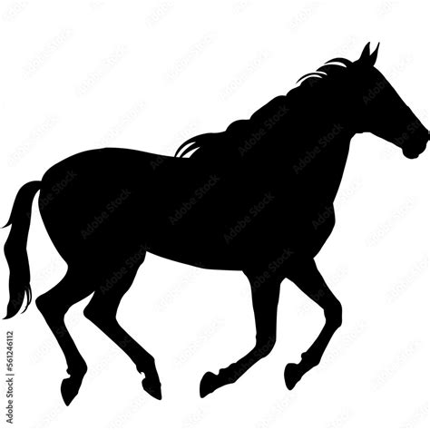 Horse SVG Horse Silhouette Horse Clipart vector illustration ...