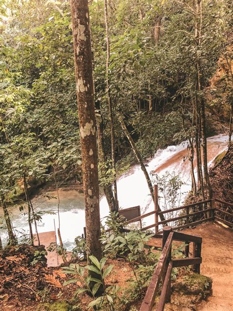 The 14 Best Things to Do in Ocho Rios, Jamaica