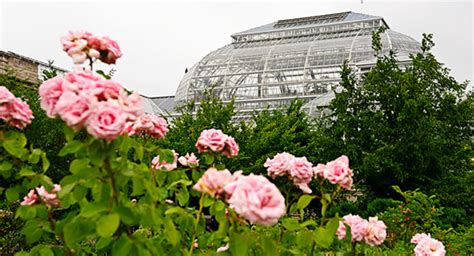 The 10 Best College Botanical Gardens The Best Colleges