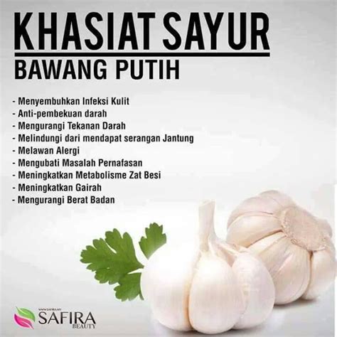 Khasiat Bawang Putih