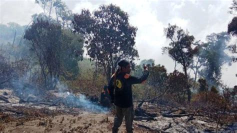 Kondisi Terkini Hutan Jalur Pendakian Gunung Slamet Via Guci Tegal Yang