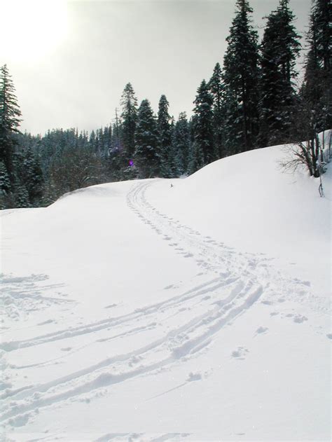 Public Domain Picture Buck Prairie Cross Country Ski Trail System