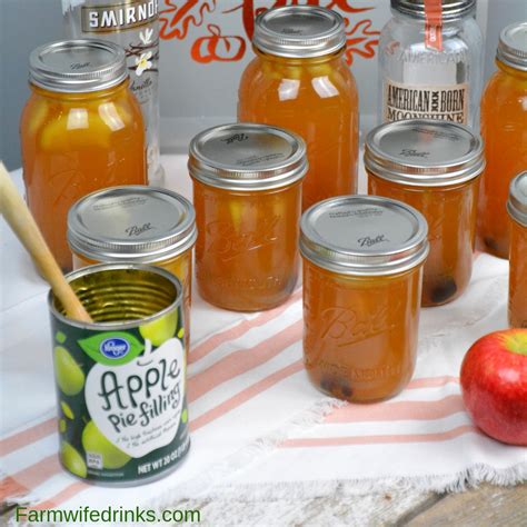 5 Gallon Apple Moonshine Mash Recipe Bios Pics