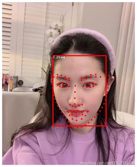 98点人脸关键点检测算法wflw数据集 Csdn博客