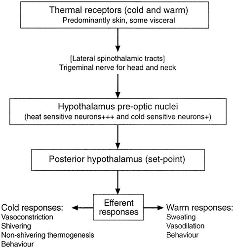 Control of thermoregulation. | Download Scientific Diagram