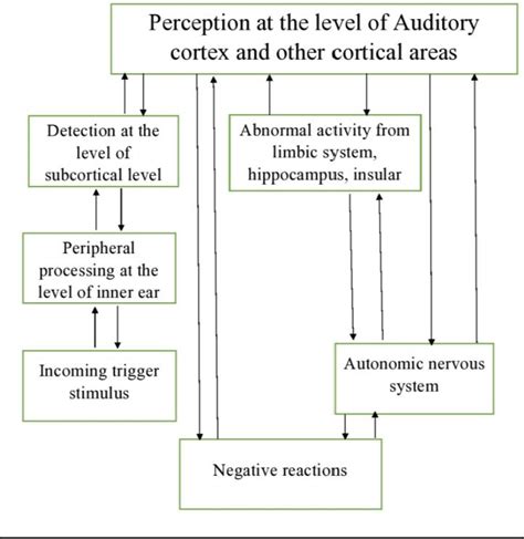 Figure 1 From The Application Of Vagus Nerve Stimulation In Individuals