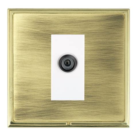 Hamilton Linea Scala Cfx Polished Brass Frameantique Brass Plate 1 Gang Non Isolated Digital