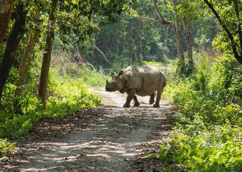 Wildlife Tours Asian Heritage