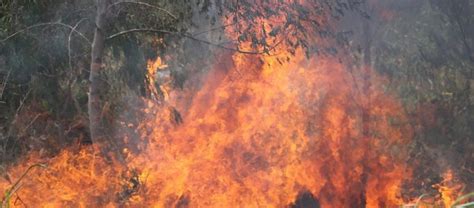 Bolivia Declaran Desastre Nacional Ante La Magnitud De Los Incendios