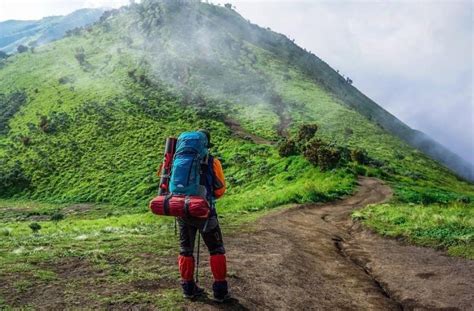 Tak Cuma Sumeru, Inilah 5 Gunung Berapi Tertinggi di Indonesia ...