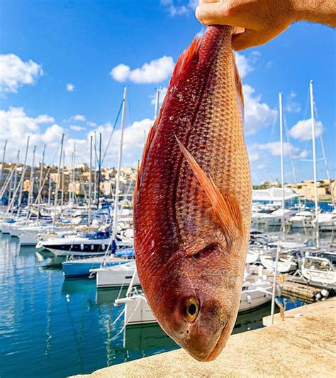 Terrone Restaurant | Birgu | About