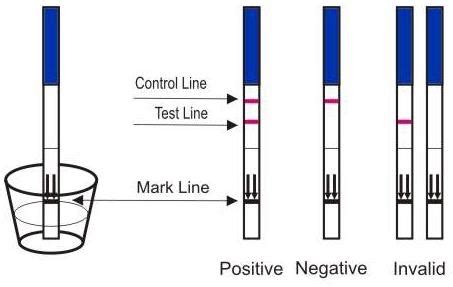 Early Result Home Pregnancy Test Strips Accuracy / Pregnancy Check Kit