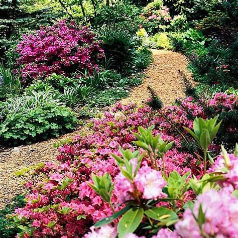 Shade Garden Design Ideas That Prove You Can Grow Colorful Plants