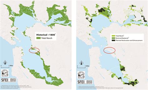 The San Francisco Bay Area Faces Sea Level Rise and Chronic Inundation ...