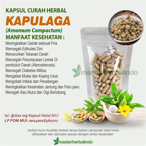 Jual KAPULAGA 100 Kapsul Curah Herbal Libido Selera Makan Bronkitis