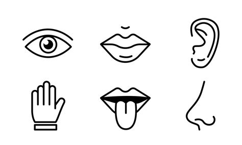 5 Senses Clipart Black And White