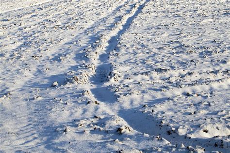 Footprints in the snow 9415846 Stock Photo at Vecteezy