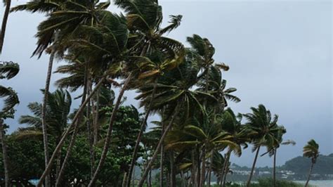 Ciclón tropical se convertirá en huracán Aumenta intensidad en costas