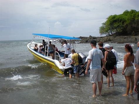 Pin On Tortuga Island