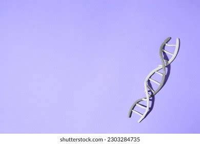 Plasticine Chromosome Images Stock Photos D Objects Vectors