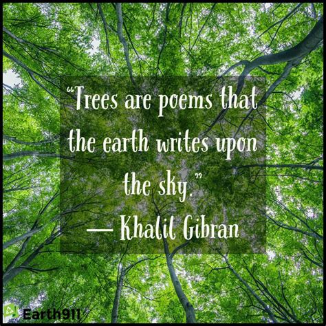 Earth911 Inspiration: Trees Are Poems - Earth911