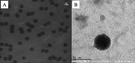 Synergistic Effects Of Phageantibiotic Combinations Against