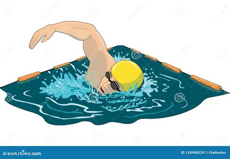 Swimmer Vector Illustration Stock Vector Illustration Of Pool