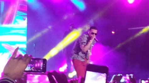 Daddy Yankee Roma 2013 Lo Que Paso Paso Hd Youtube