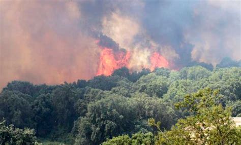 Unas 300 Personas Fueron Evacuadas Por Incendios Forestales En Francia