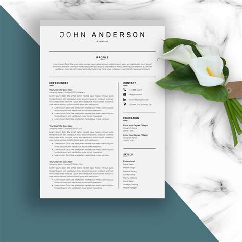 Resume CV 3 Pages Resume Cv Creative Resume Templates Resume