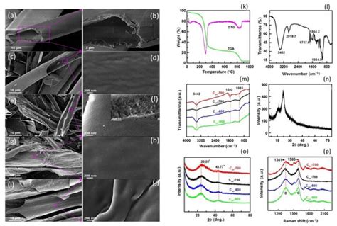 Molecules Free Full Text Biobased Kapok Fiber Nano Structure For