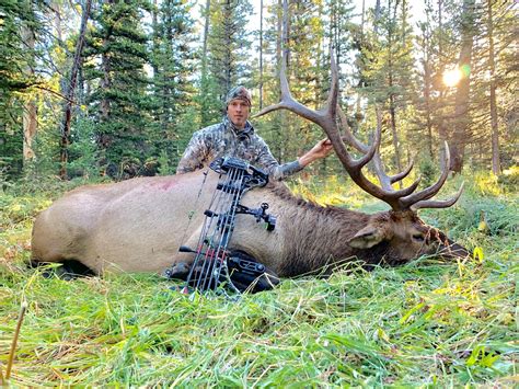 Wyoming Guided Elk Hunts Elk Hunting Outfitters