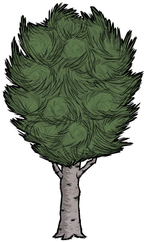 Treebirchnut Dont Starve Game Wiki Fandom Powered By Wikia