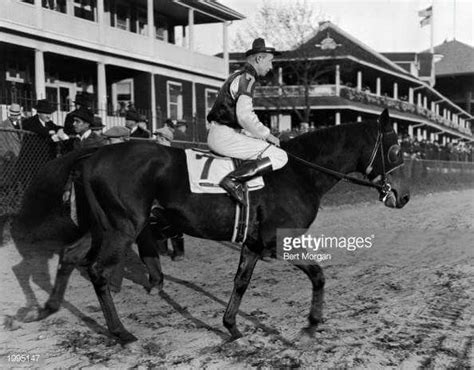 Seabiscuit with Red Pollard up | Beautiful horses, Horses, Thoroughbred ...