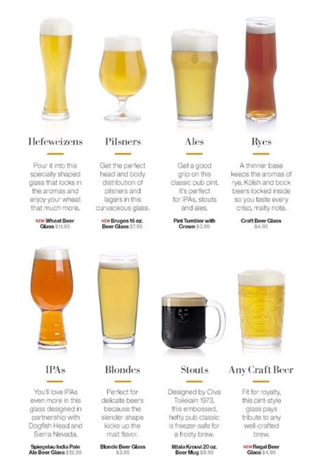 Beer glass guide types shapes explained – Artofit