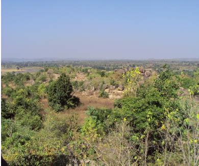 Habitat of Hemidactylus treutleri at Dakkal Gutta. | Download Scientific Diagram