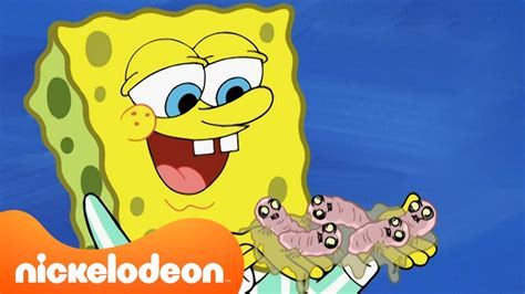 سبونج بوب سبونج بوب والدودة الأليفة Nickelodeon Arabia Youtube